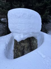 Neve nel bosco c'e' nè