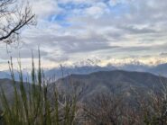 monte barone