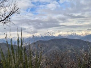 monte barone