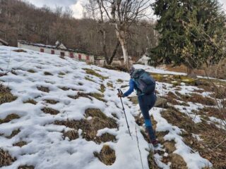 alpe olmaini sotto