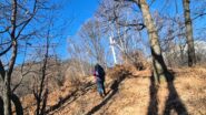 monte ciar