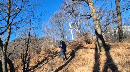 monte ciar