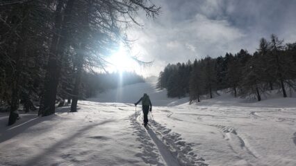 oplus_2