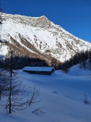 Bergerie di Pra del Founs