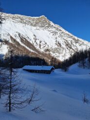 Bergerie di Pra del Founs