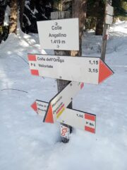 Colle Angelino