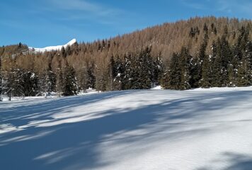 il pianoro sotto il Colle dell'Ortiga 