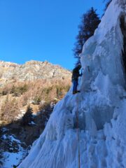 Tra i cavolfiori giganti di L3