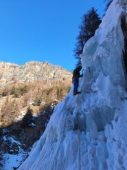 Tra i cavolfiori giganti di L3