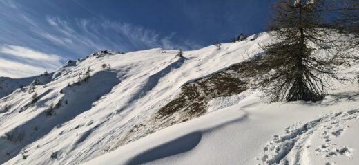 I grandi disacchi di fondo della parte alta