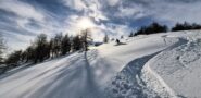Neve da urlo