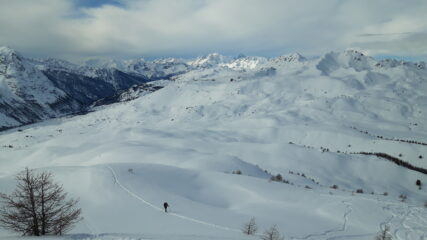 quasi in cima