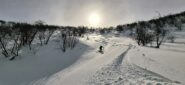 Neve splendida