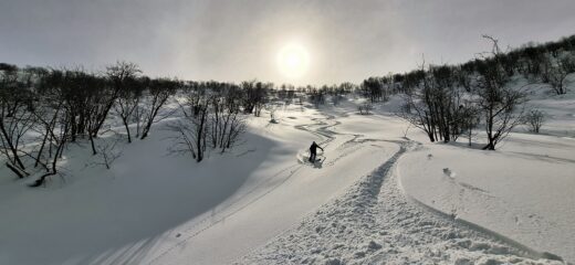 Neve splendida