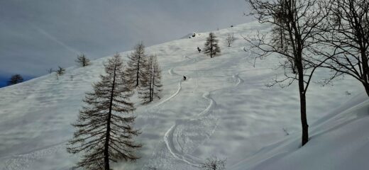 Farina veloce nonostante la bassa quota
