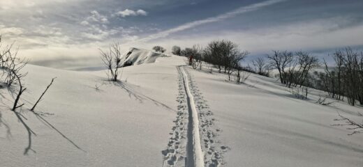 Si torna in cima al Cauri