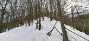 Discesa diretta su Ghio bosco fitto e ripido