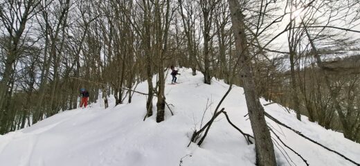 Discesa diretta su Ghio bosco fitto e ripido