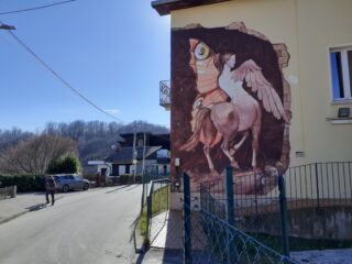 Sulla strada asfaltata a Quarna.