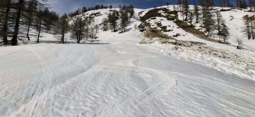 Cremina nella parte centrale