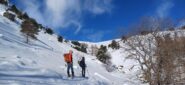 Usciti dal bosco