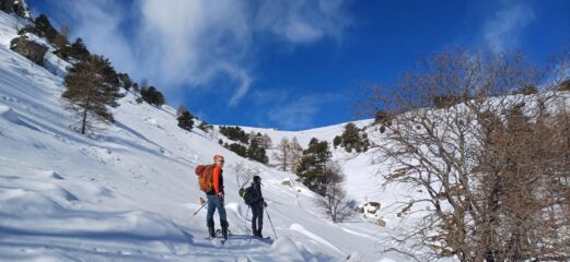 Usciti dal bosco