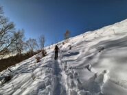 fuori dal bosco