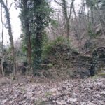 Case al Mulino del Martinetto in rovina