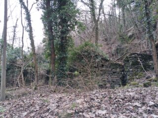 Case al Mulino del Martinetto in rovina