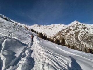 verso il lago delle bose