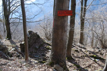 Ai ruderi dell’Alpe Alebi