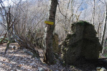 Ai ruderi dell’Alpe Farina