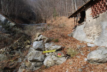 L’arrivo sentiero 3 sulla strada per l’Alpe Aulogno