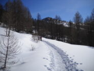 salendo serso il Monte Festa davanti a noi
