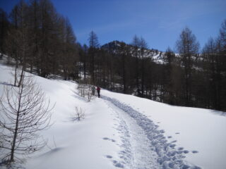 salendo serso il Monte Festa davanti a noi