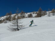 neve ben portante anche nella prima parte del bosco di larici