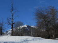 Monte Autes