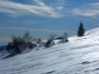 Salendo al Monte Berlino