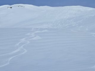 Veversante Becetto