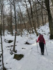 oplus_2097184