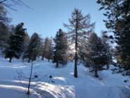 oplus_2