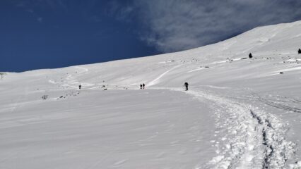 oplus_0