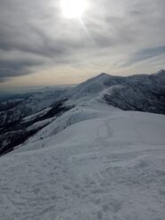 oplus_32