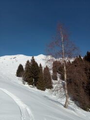 oplus_32