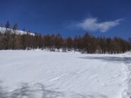 Nei pressi dell'alpe campo