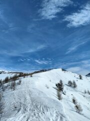 oplus_34
