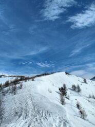 oplus_34