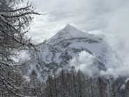 ambiente 