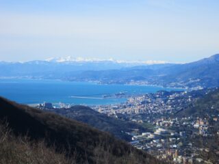 Panorama dal Puin
