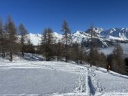 Uscita del bosco, al sole